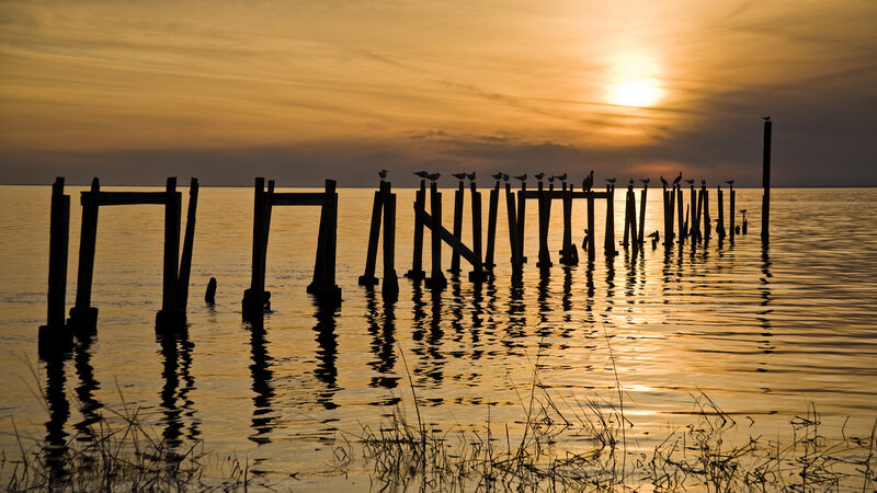 Silhouetted Pier Posts