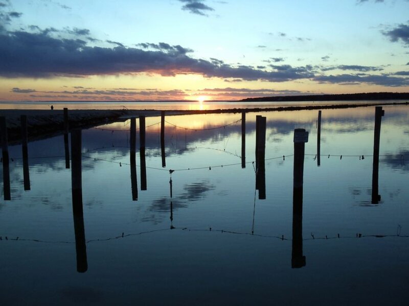 Silhouetted Pilings at Sunset — Blue