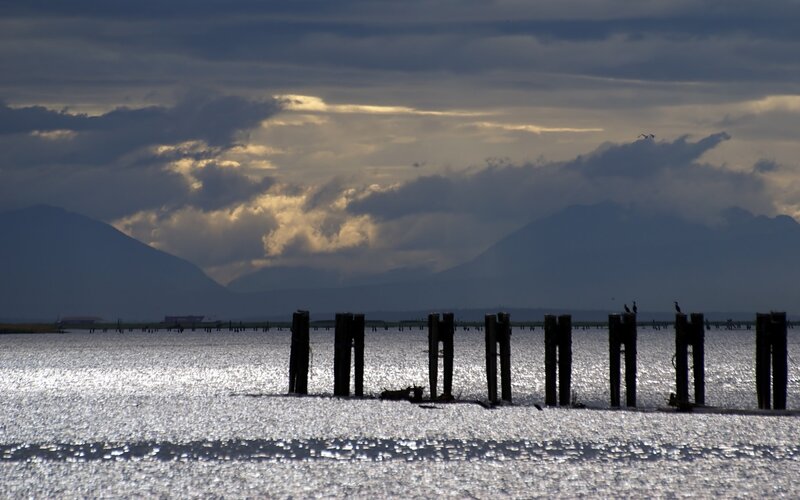 Silhouetted pilings at sunset
