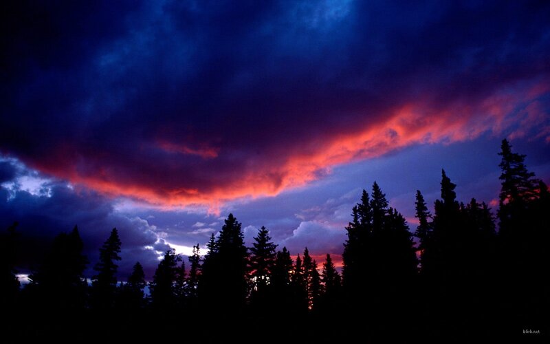 Silhouetted Pine Trees — Blue, Dramatic, Sunset, Photograph, Clouds, Sky