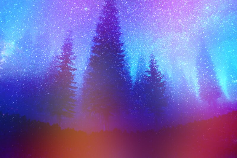 Silhouetted Pine Trees — Blue, Dreamy