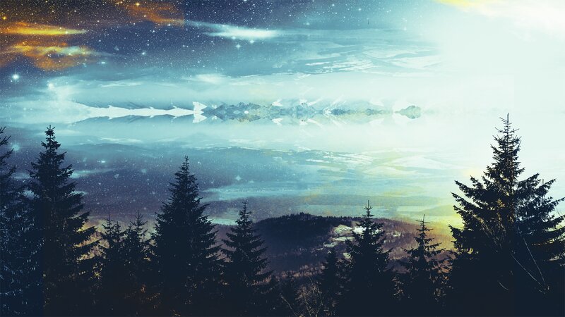 Silhouetted Pine Trees — Blue, Serene, Night, Digital Art, Stars