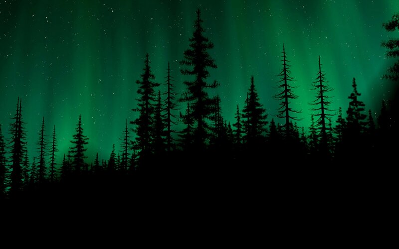 Silhouetted Pine Trees — Green