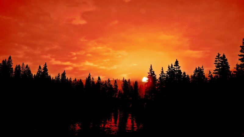 Silhouetted Pine Trees — Red, Dramatic, Sunset