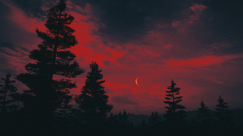 Silhouetted Pine Trees — Red, Dramatic