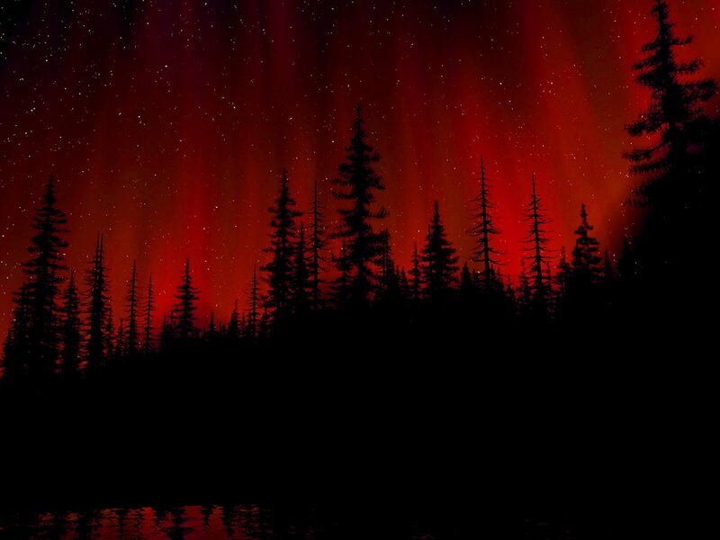 Silhouetted Pine Trees — Red