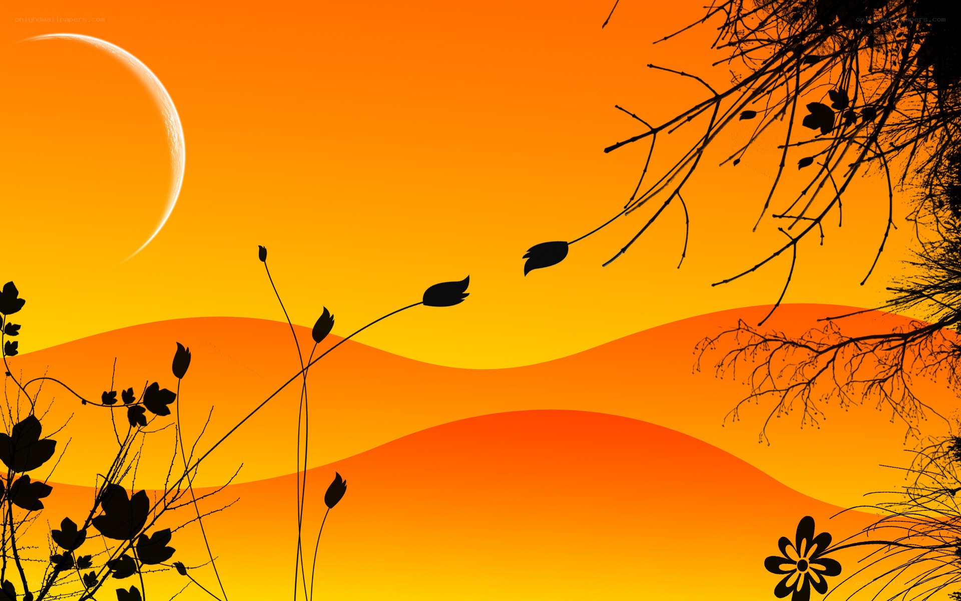 Silhouetted plants at sunset