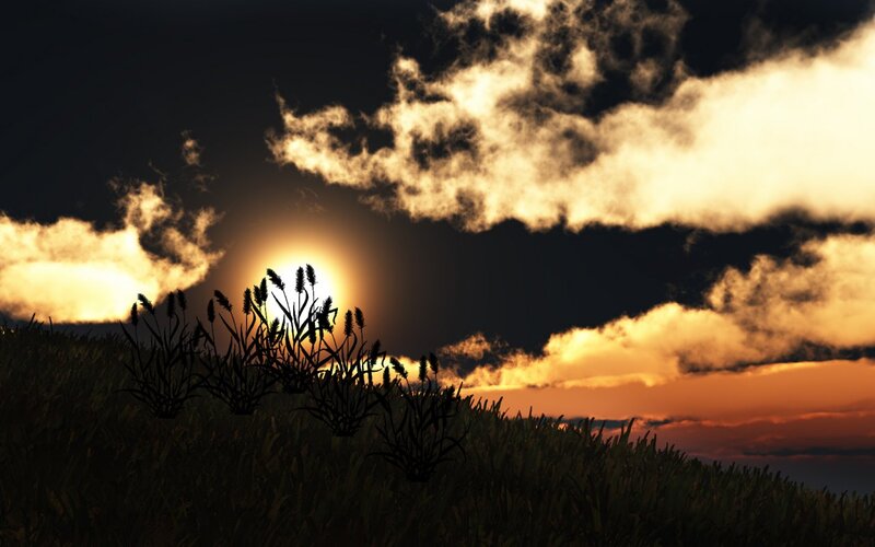 Silhouetted Plants at Sunset — Orange, Dramatic, Digital Art, Sun