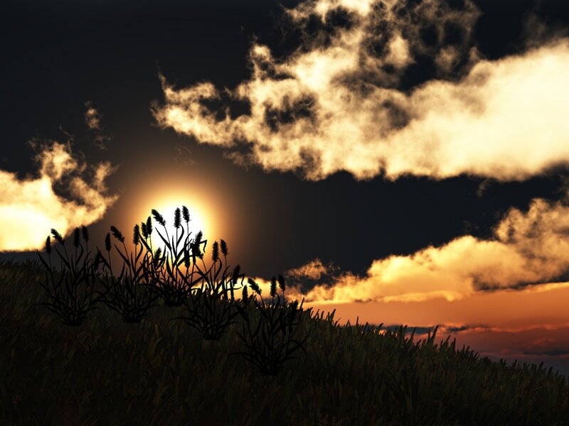Silhouetted Plants at Sunset — Orange, Dramatic, Digital Art