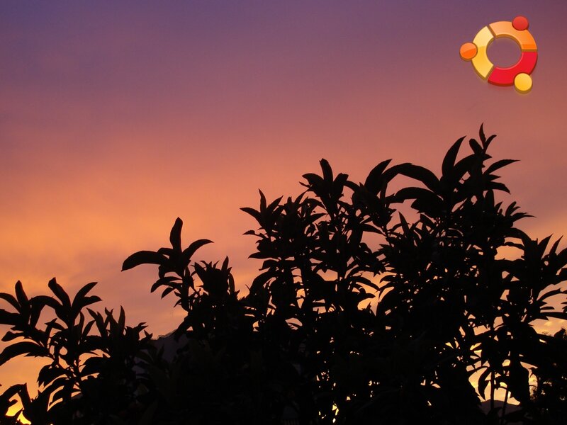 Silhouetted Plants at Sunset — Purple, Serene