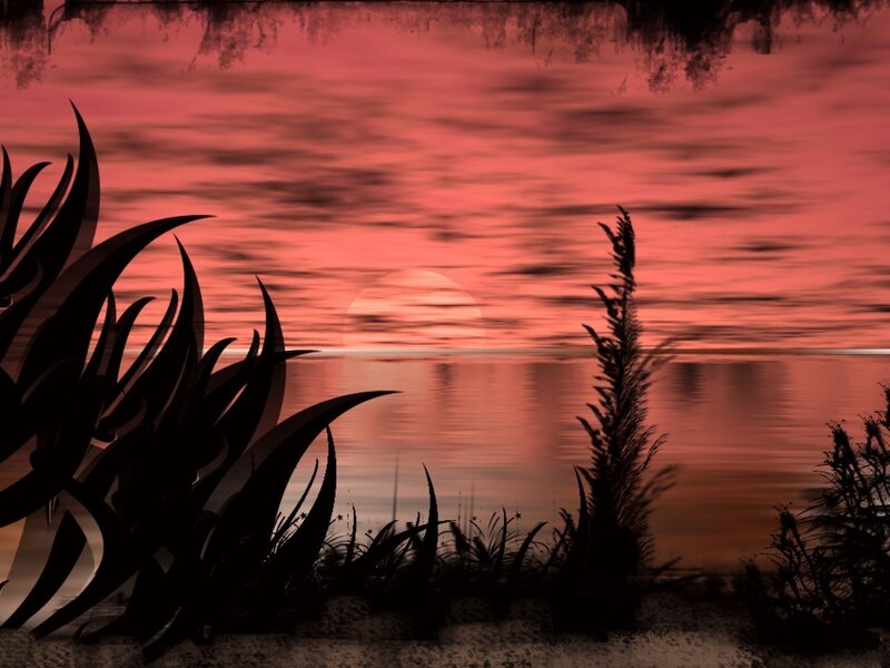 Silhouetted Plants at Sunset — Red