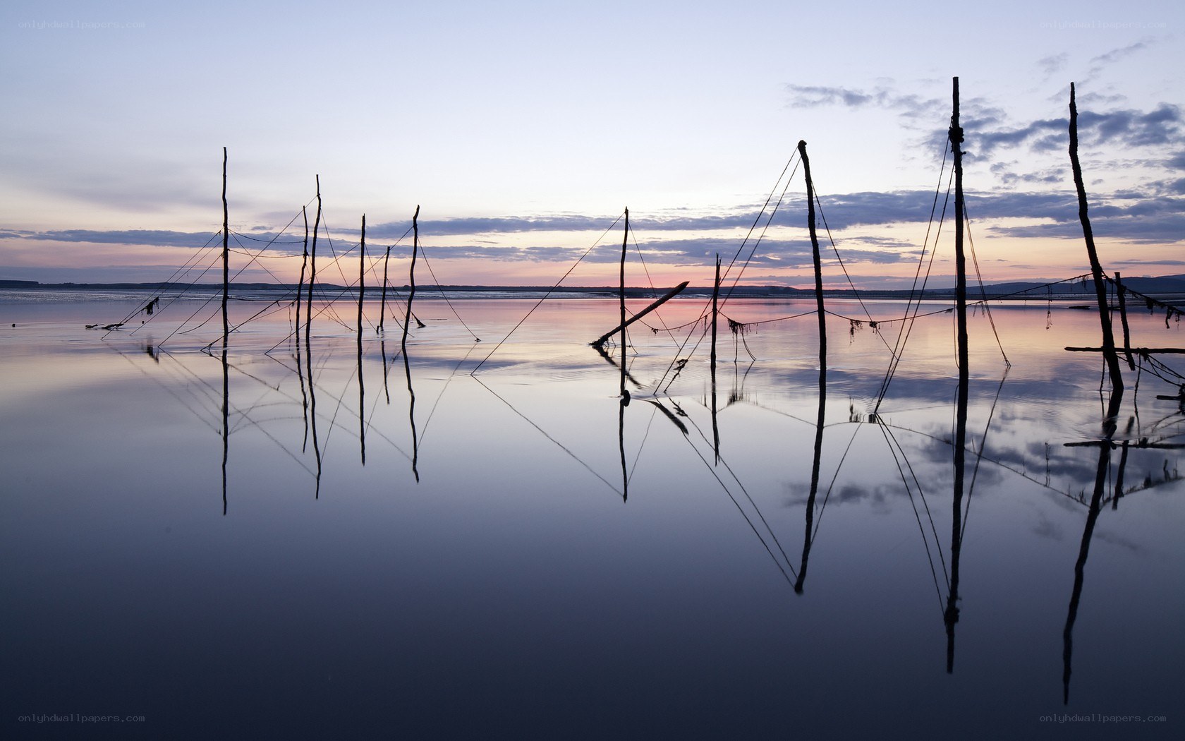 Silhouetted poles at sunset