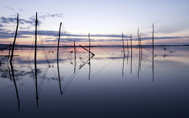 Silhouetted poles at sunset