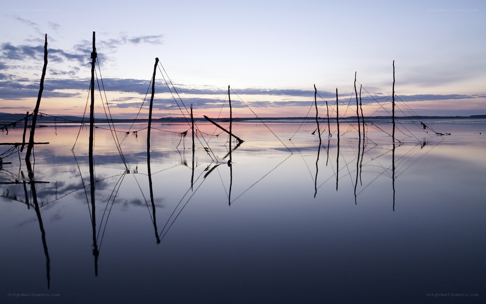 Silhouetted poles at sunset