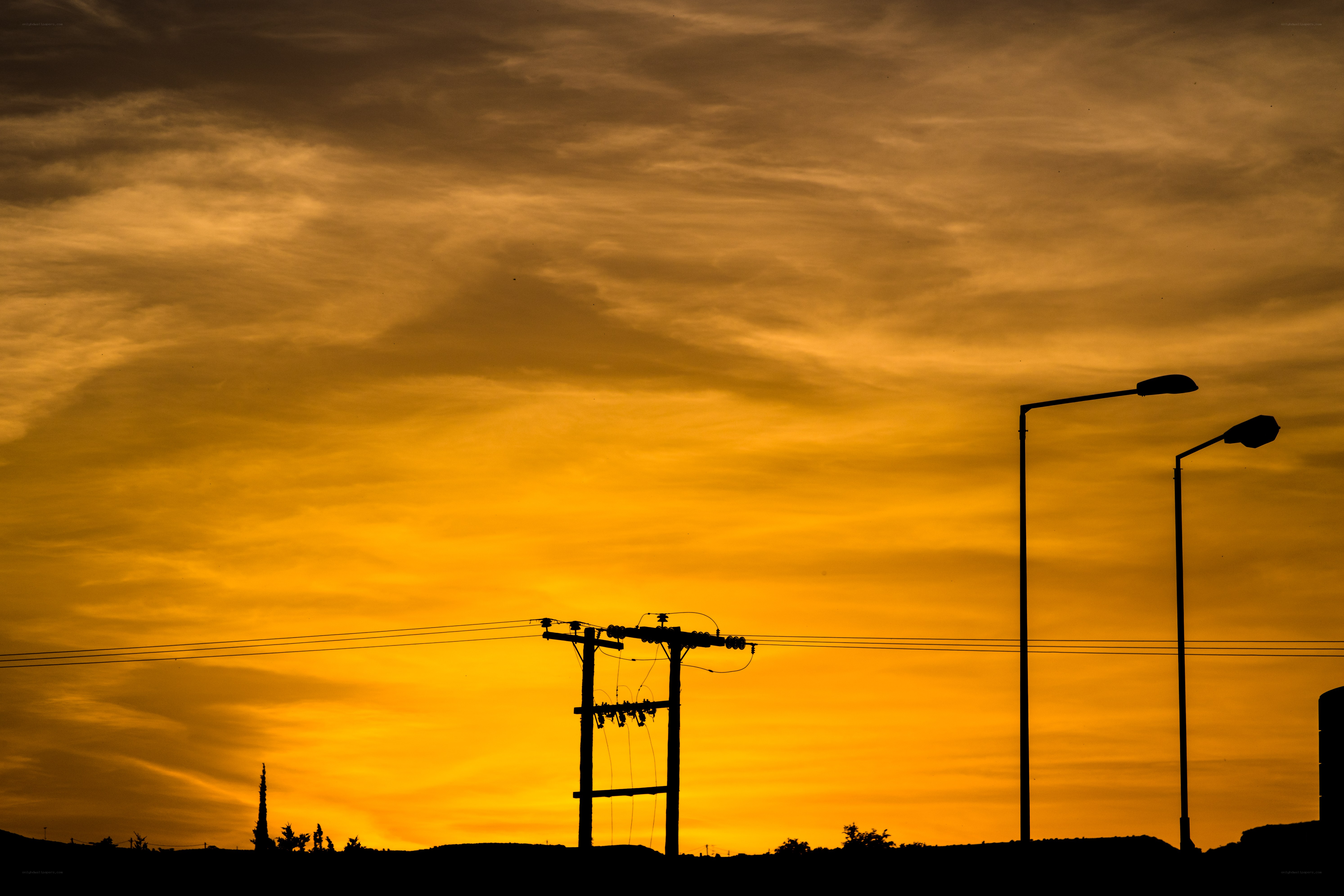 Silhouetted poles at sunset