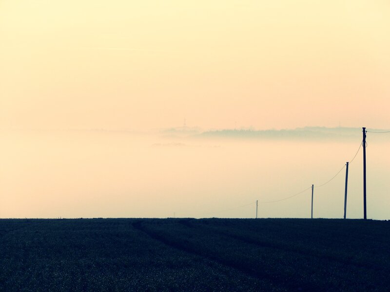 Silhouetted Poles in Field