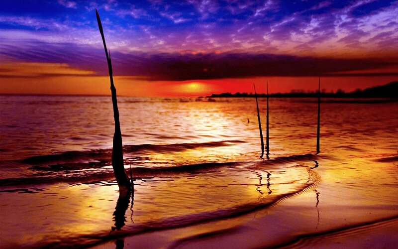 Silhouetted Poles in Water