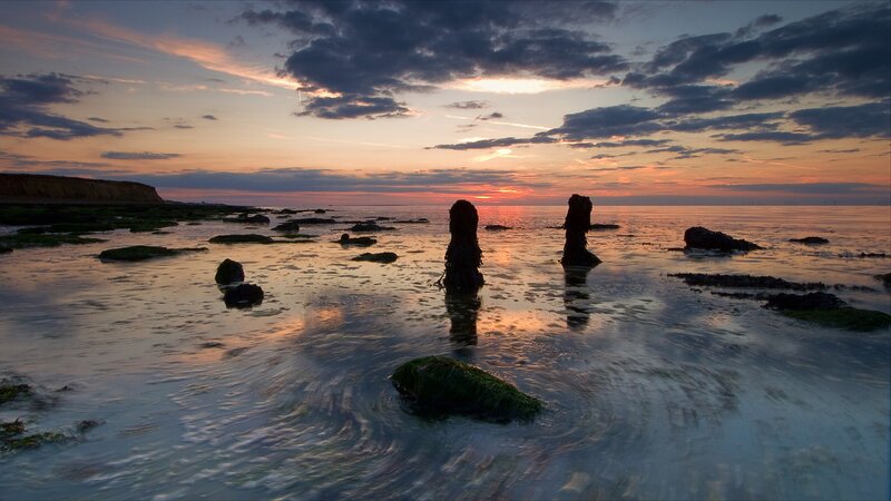 Silhouetted Posts in Water — Orange, Serene