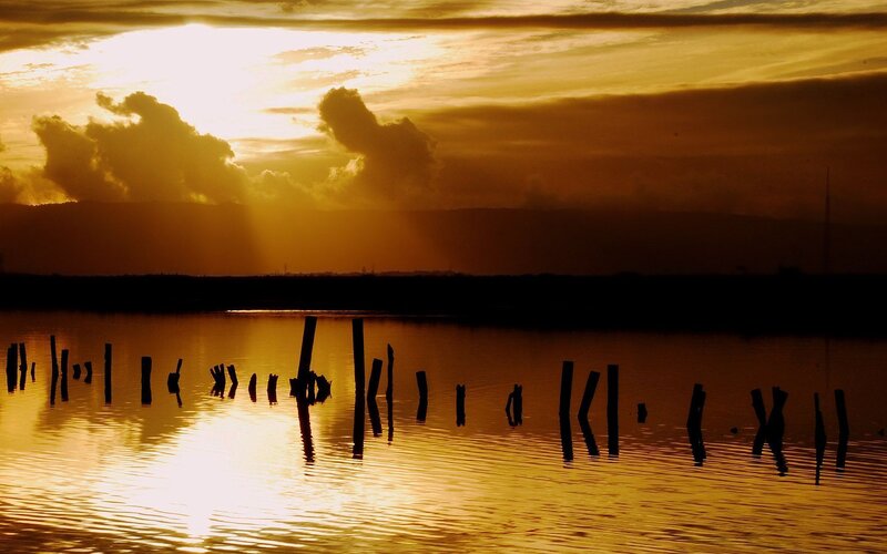 Silhouetted Posts in Water