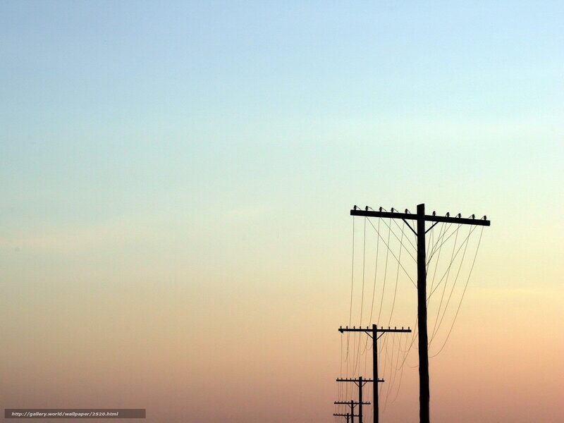 Silhouetted power lines at dusk