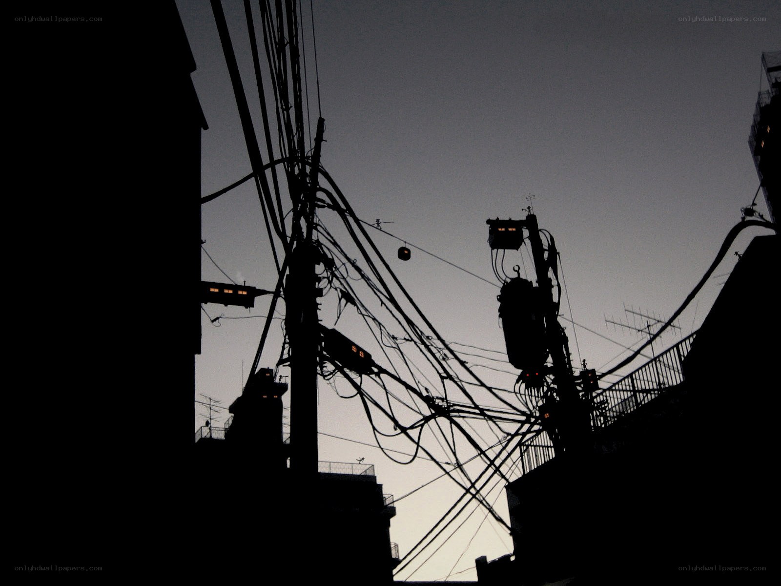 Silhouetted power lines at dusk