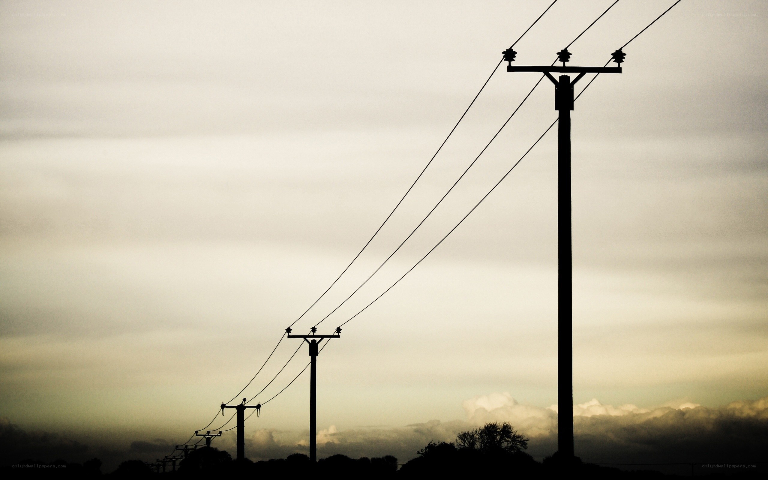 Silhouetted power lines at dusk