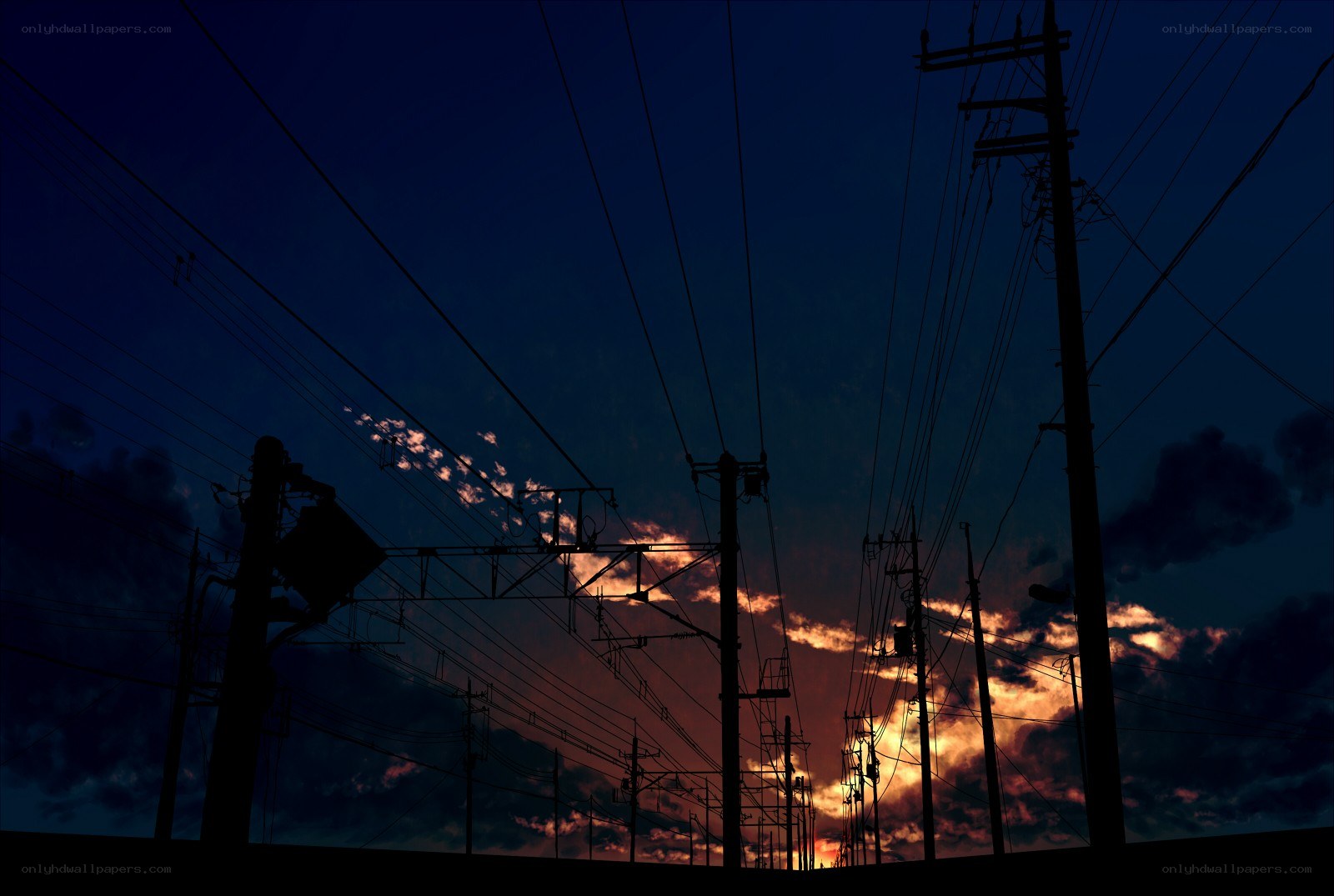 Silhouetted power lines at sunset
