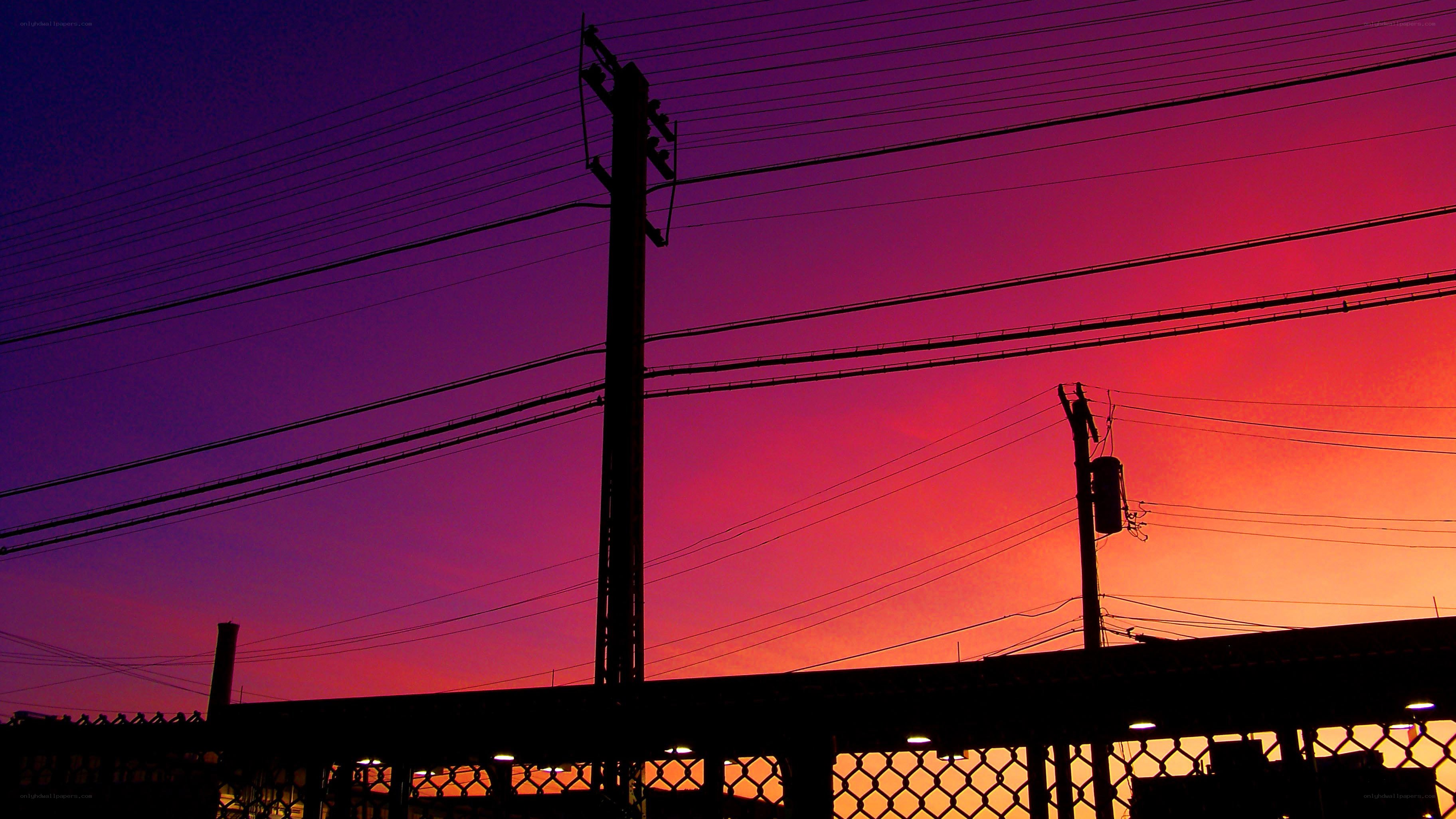 silhouetted power lines at sunset