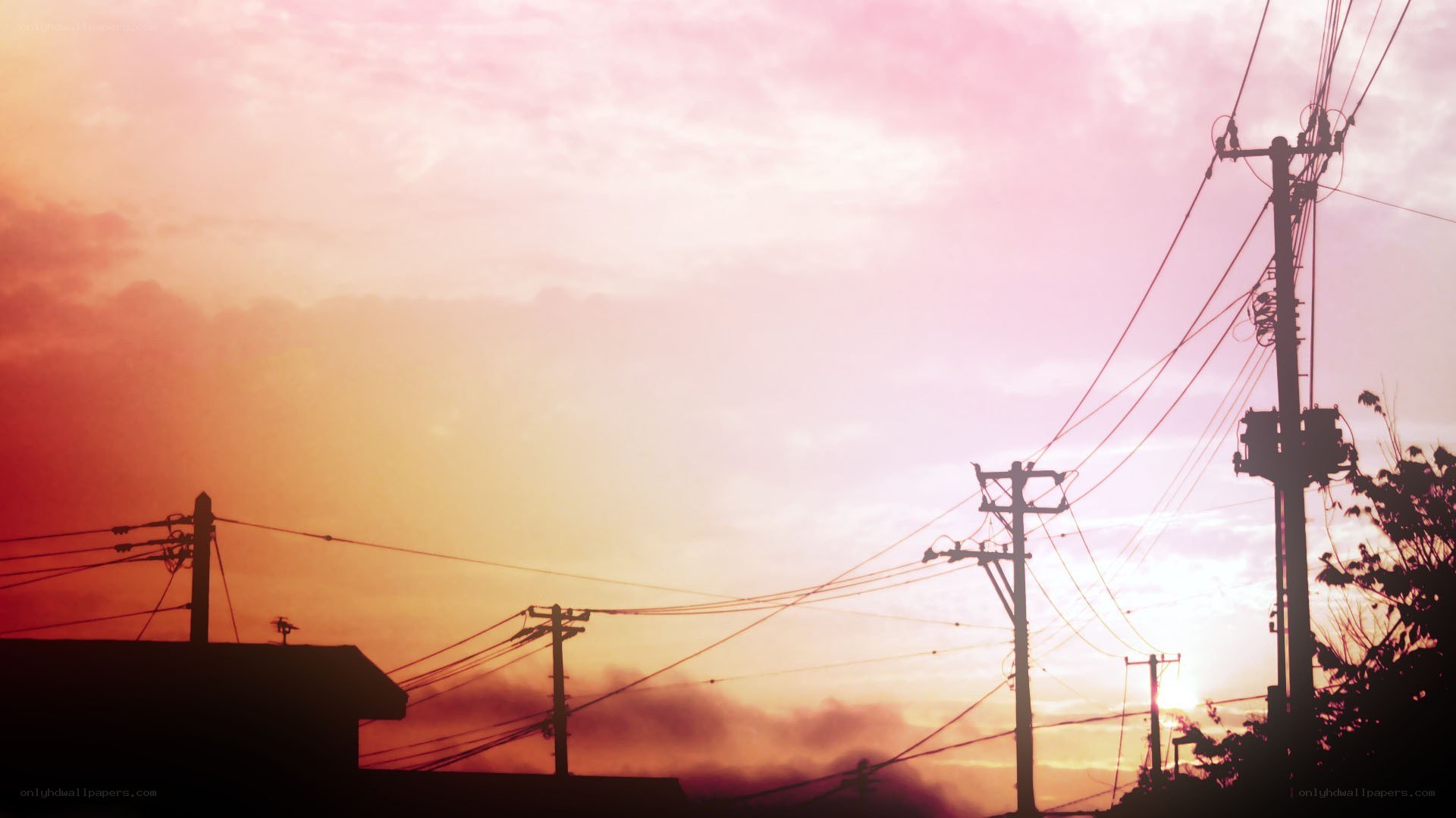 silhouetted power lines at sunset