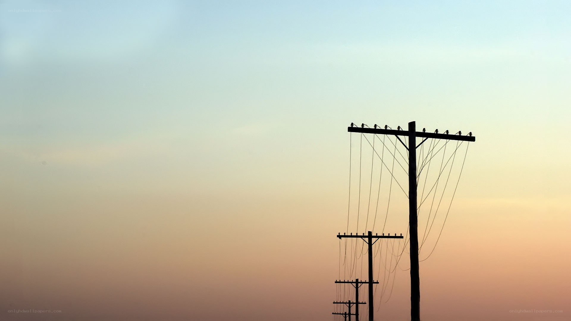 silhouetted power lines at sunset