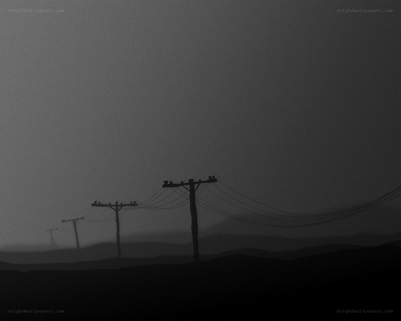 Silhouetted power lines in fog