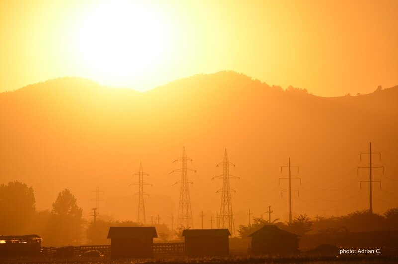 Silhouetted Power Lines — Orange, Serene