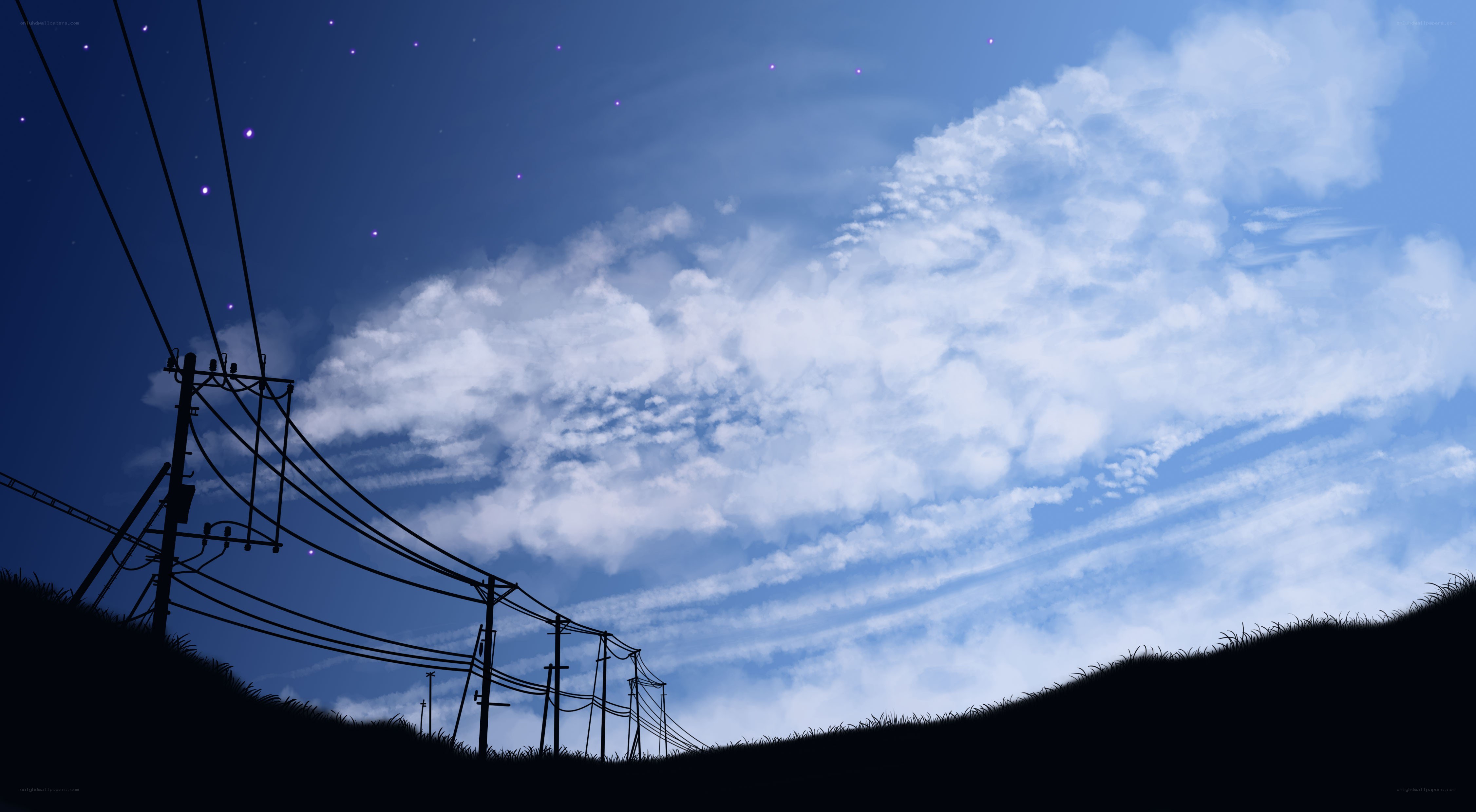 Silhouetted power lines under starry sky
