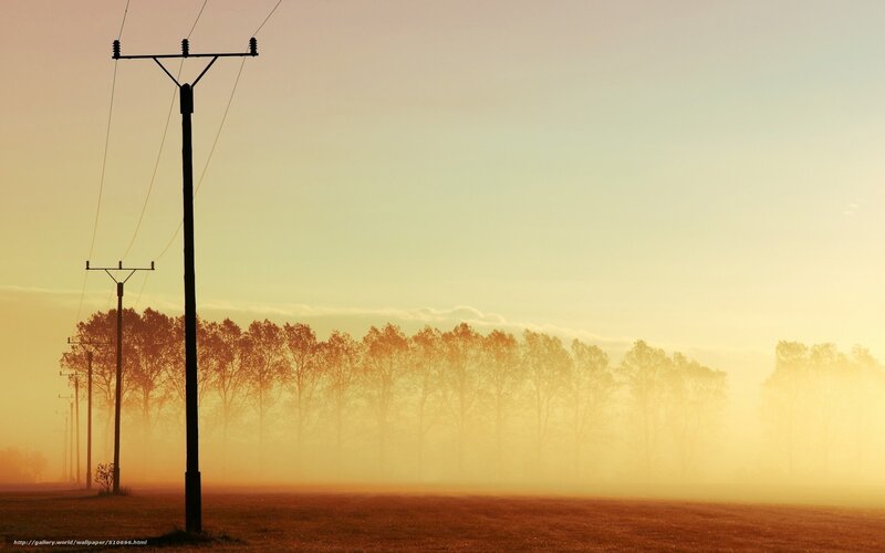 Silhouetted Power Poles — Yellow
