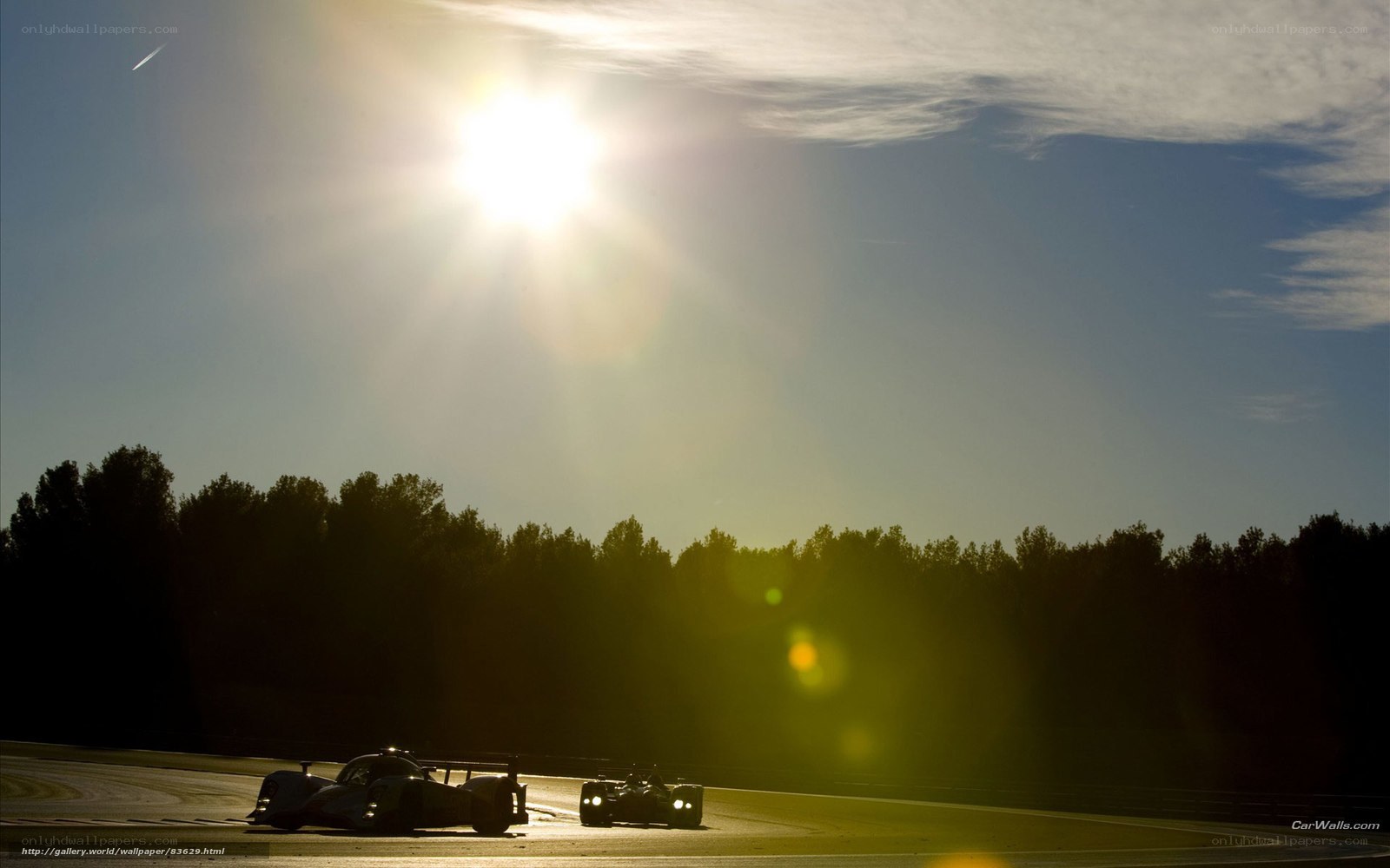 Silhouetted race cars at sunset