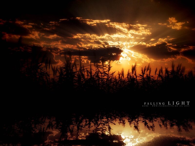 Silhouetted Reeds at Sunset — Orange, Dramatic, Photograph, Sun, Clouds