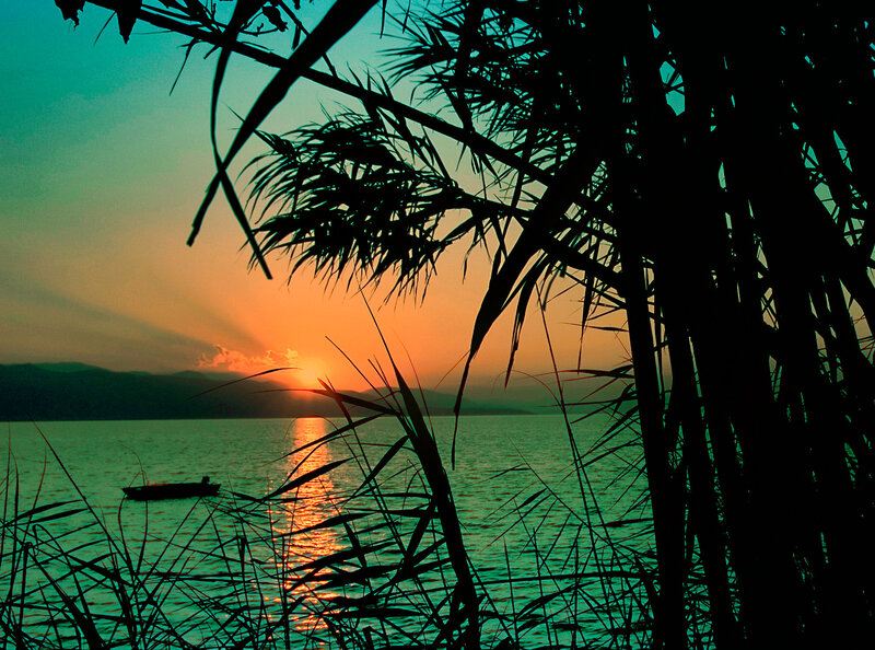 Silhouetted Reeds at Sunset — Orange, Serene, Photograph, Boat