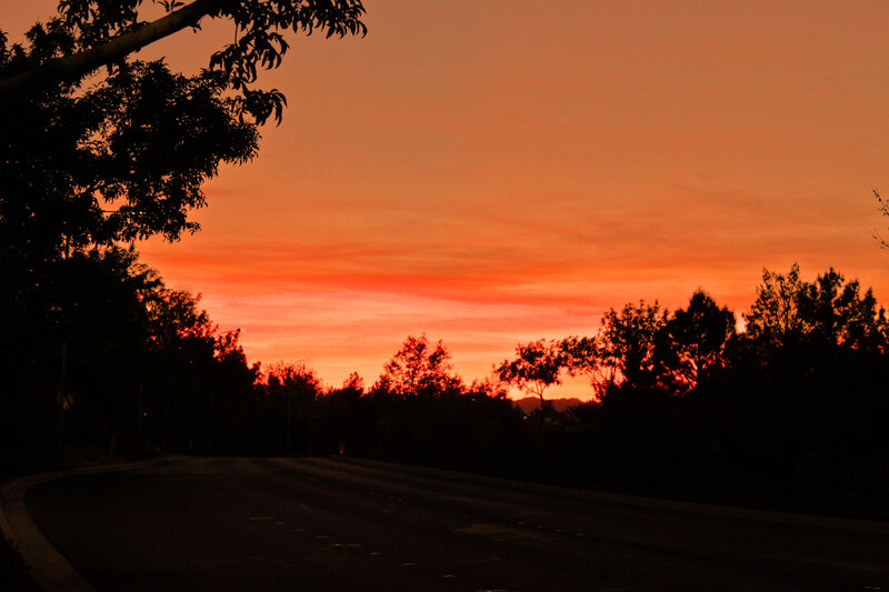 Silhouetted Road at Sunset