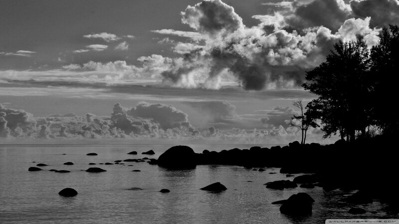 Silhouetted Rocks and Trees
