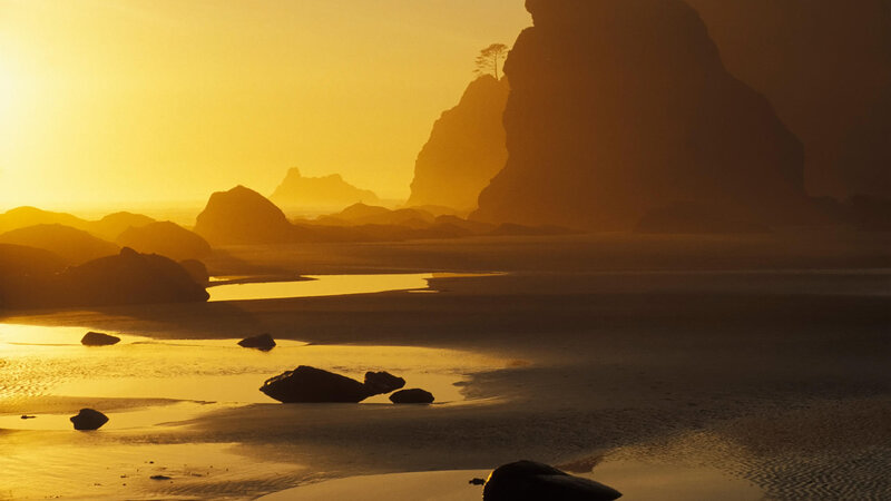 Silhouetted Rocks on Beach — Gold