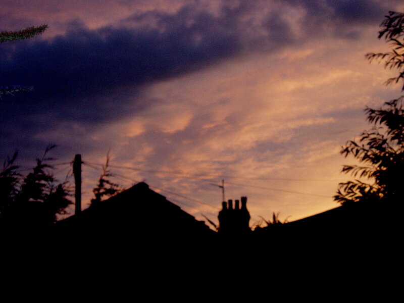 silhouetted rooftops at dusk