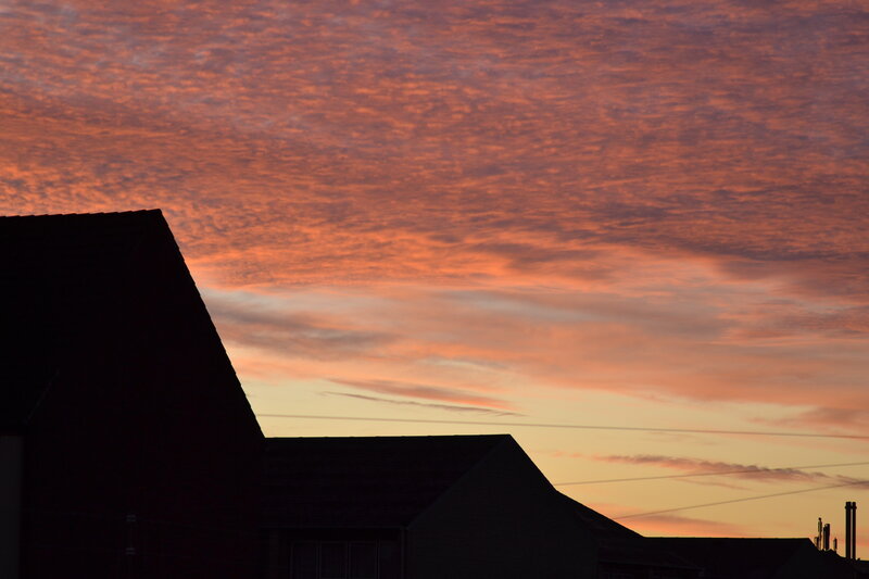 Silhouetted Rooftops — Orange