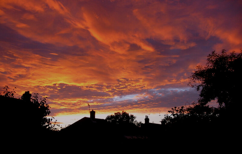 Silhouetted Rooftops