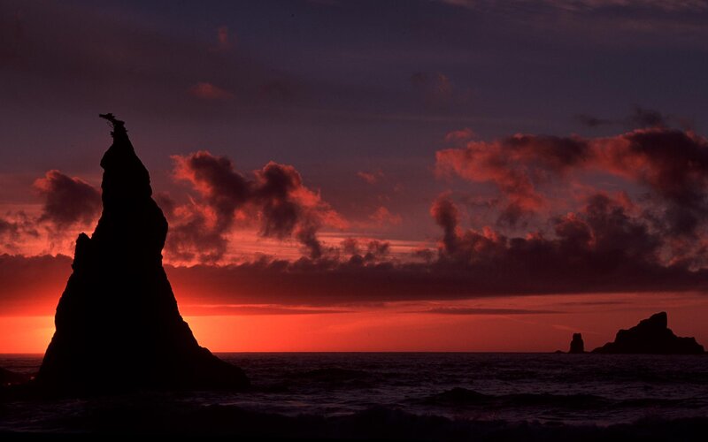 Silhouetted Sea Stack
