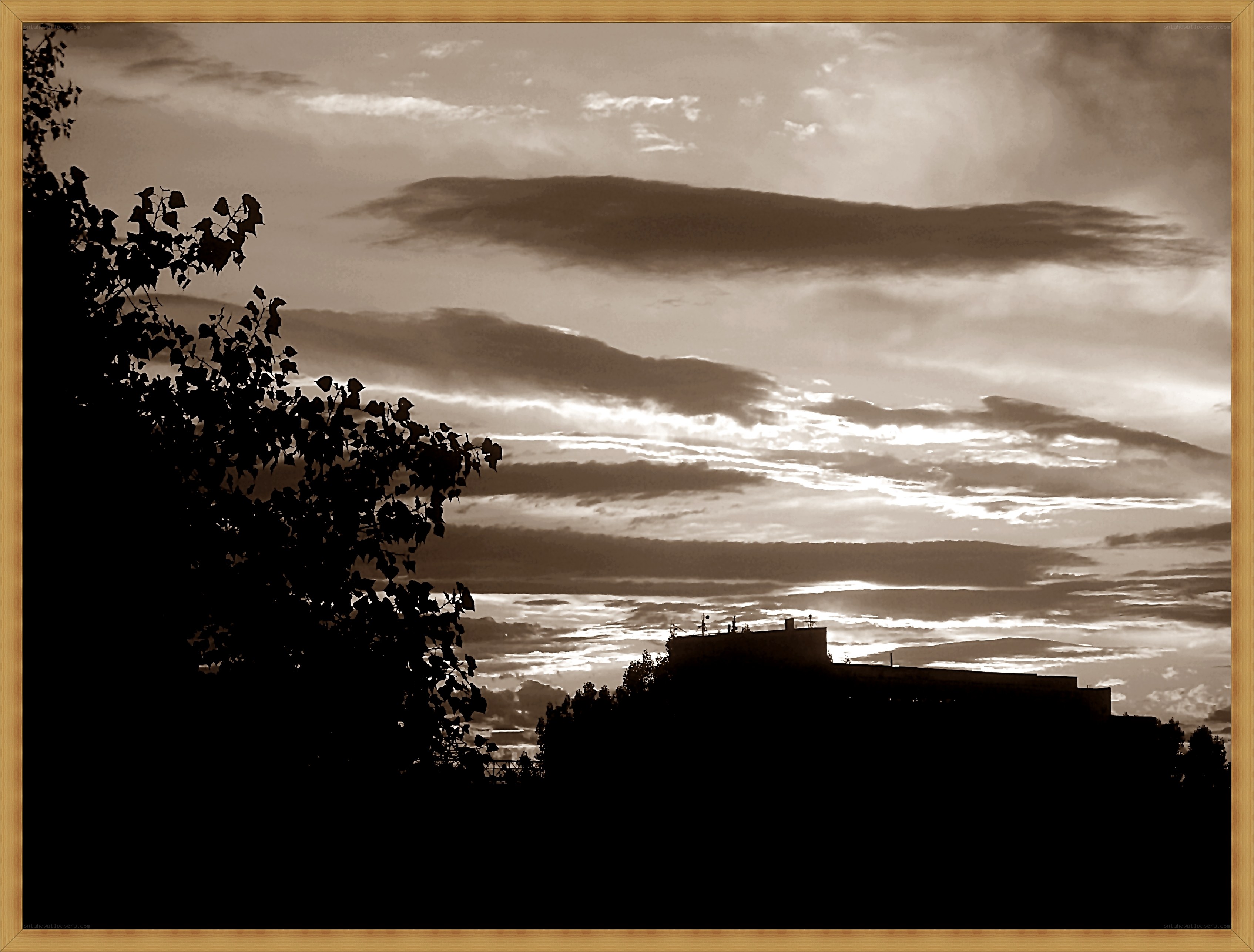 Silhouetted skyline at dusk