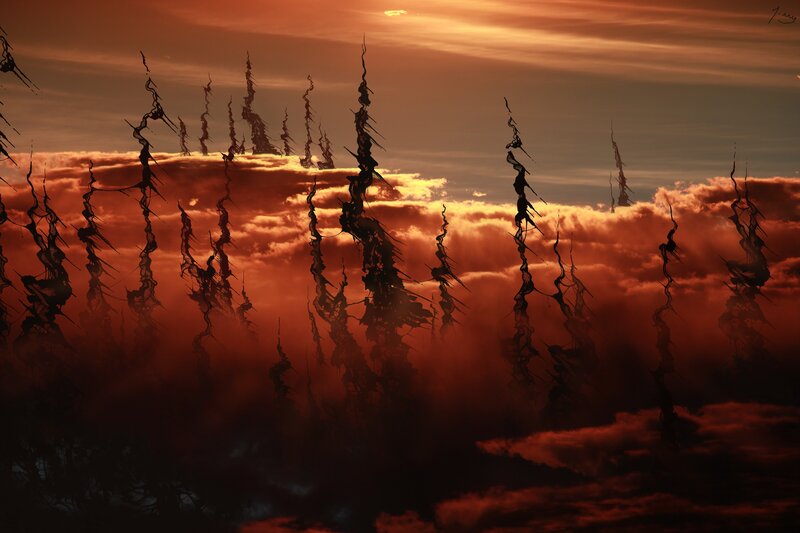 Silhouetted Spires — Orange