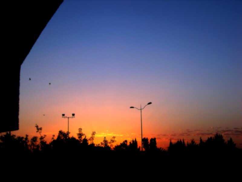 Silhouetted Street Lamps — Blue