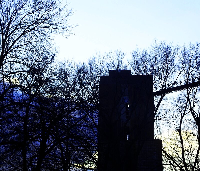 Silhouetted Tower and Trees — Blue