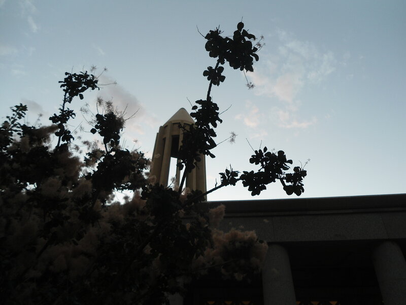 Silhouetted Tower and Trees