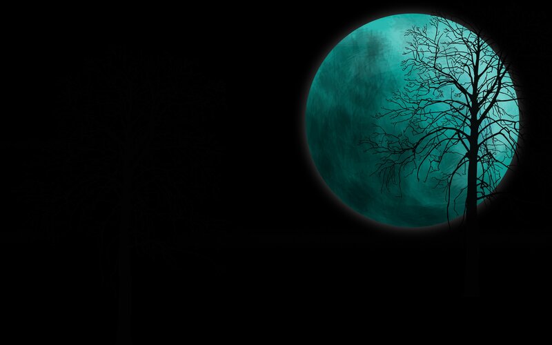 Silhouetted Tree Against Moon